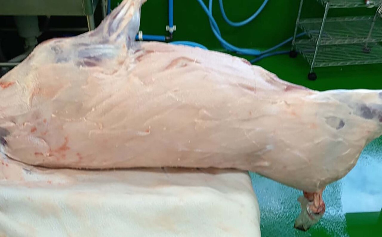 味わい深いジビエを楽しむ冬