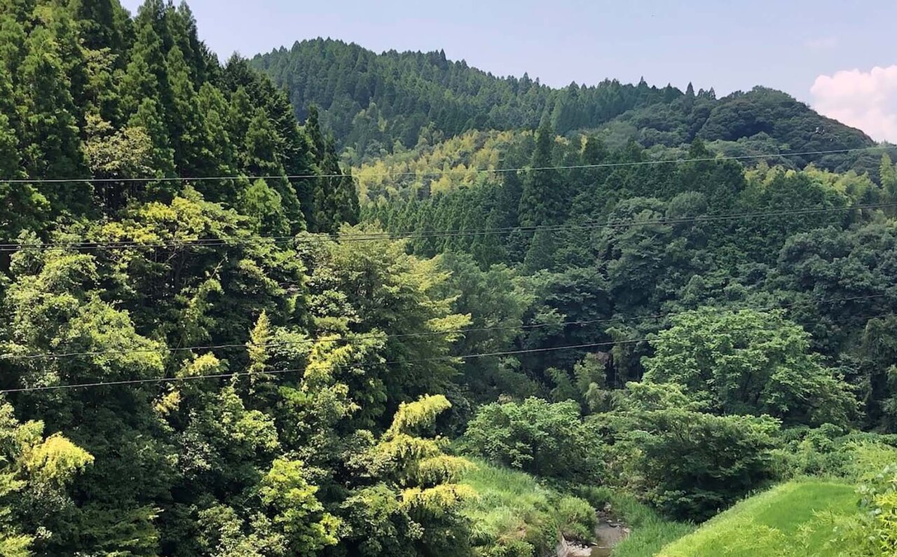 味わい深いジビエを楽しむ冬