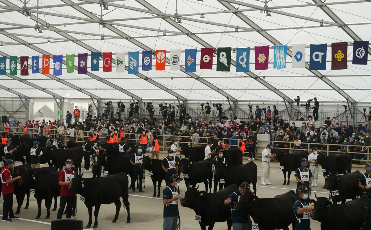 ポール・ボキューズで味わう、日本各地のブランド牛や銘柄牛の始祖 山陰和牛の魅力|EAT