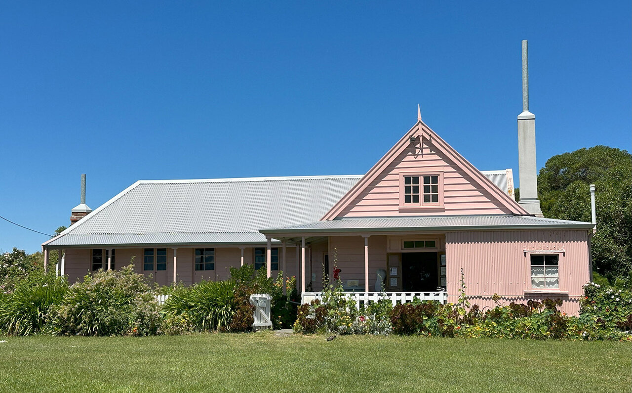ニュージーランドの南島、カイコウラで地球の息吹を感じる｜TRAVEL