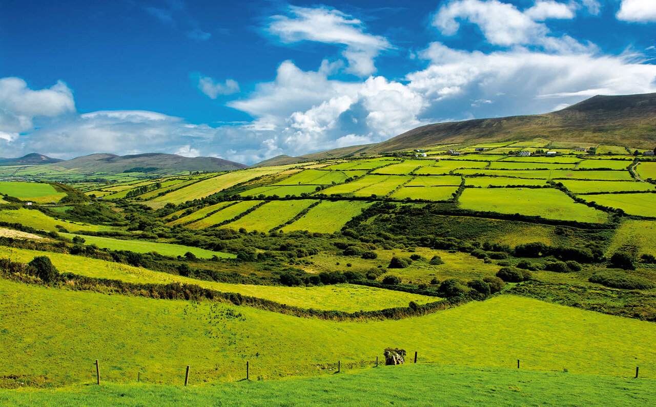 EAT｜アイリッシュ グラスフェッドビーフ