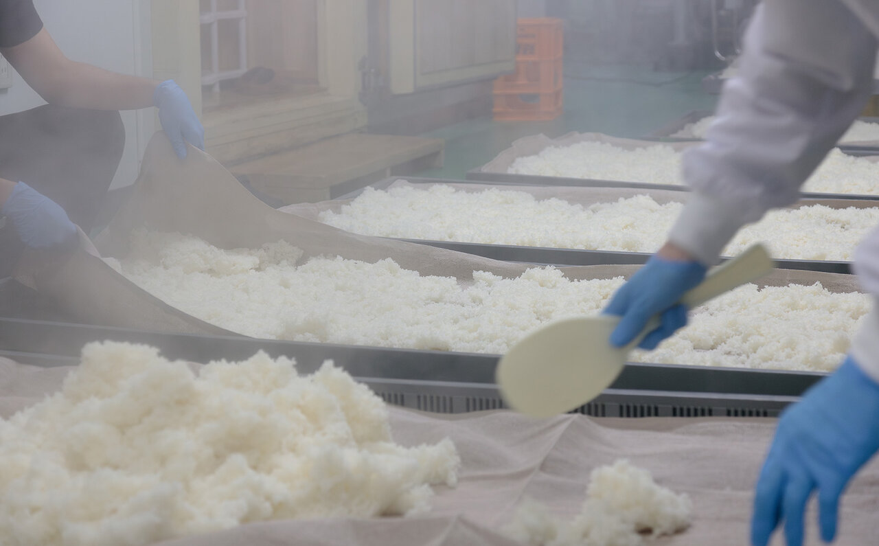 ラグジュアリー日本酒の開拓者たち──SAKE HUNDREDと楯の川酒造、「百光」進化の軌跡 ──