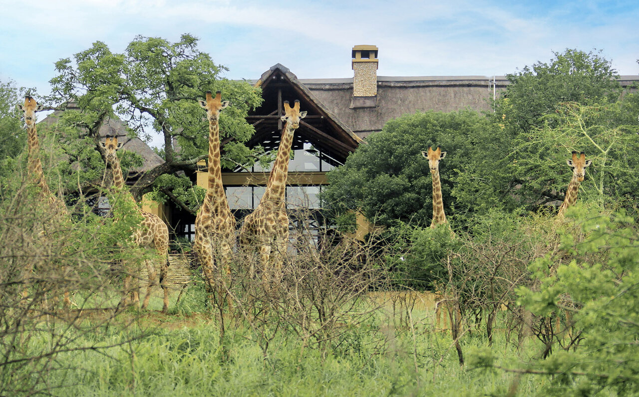 Jumeirah｜ジュメイラ