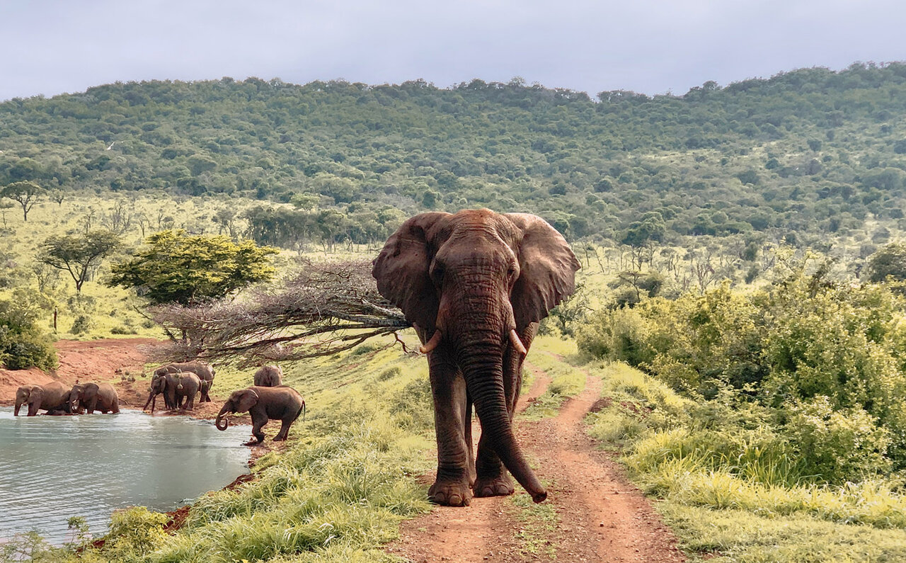 Jumeirah｜ジュメイラ