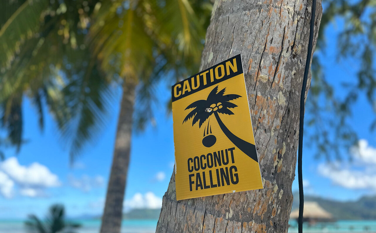 短期連載１　ハネムーナーじゃなくても楽しい！　タヒチは懐の広いプリミティブな「楽園」