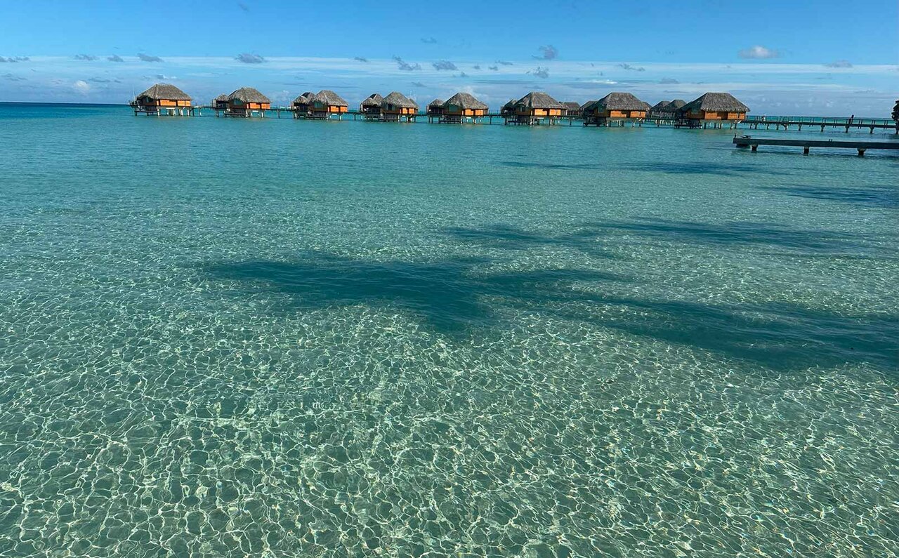 短期連載１　ハネムーナーじゃなくても楽しい！　タヒチは懐の広いプリミティブな「楽園」