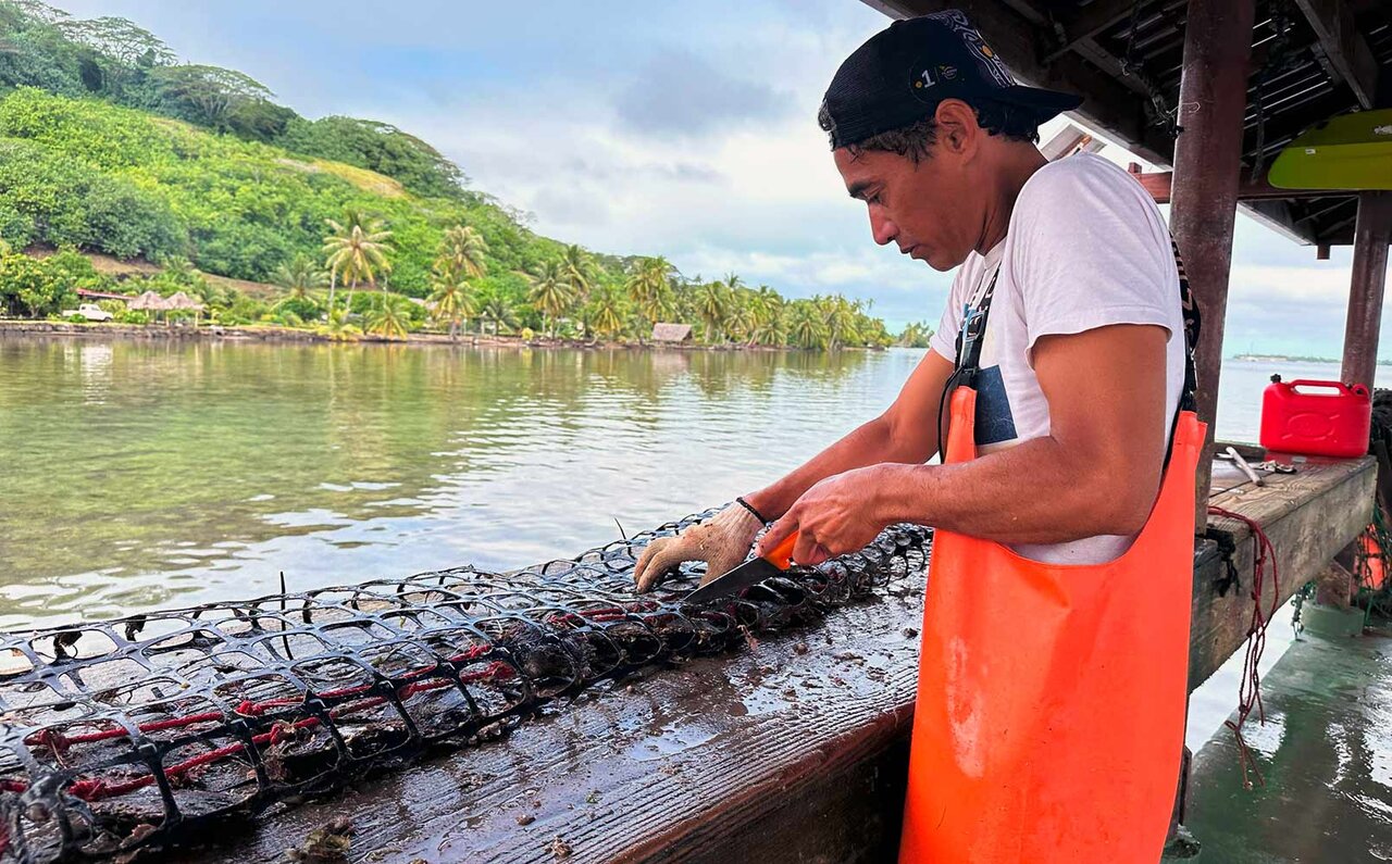 短期連載２　憧れの水上バンガローはおひとりさまにも極楽♡