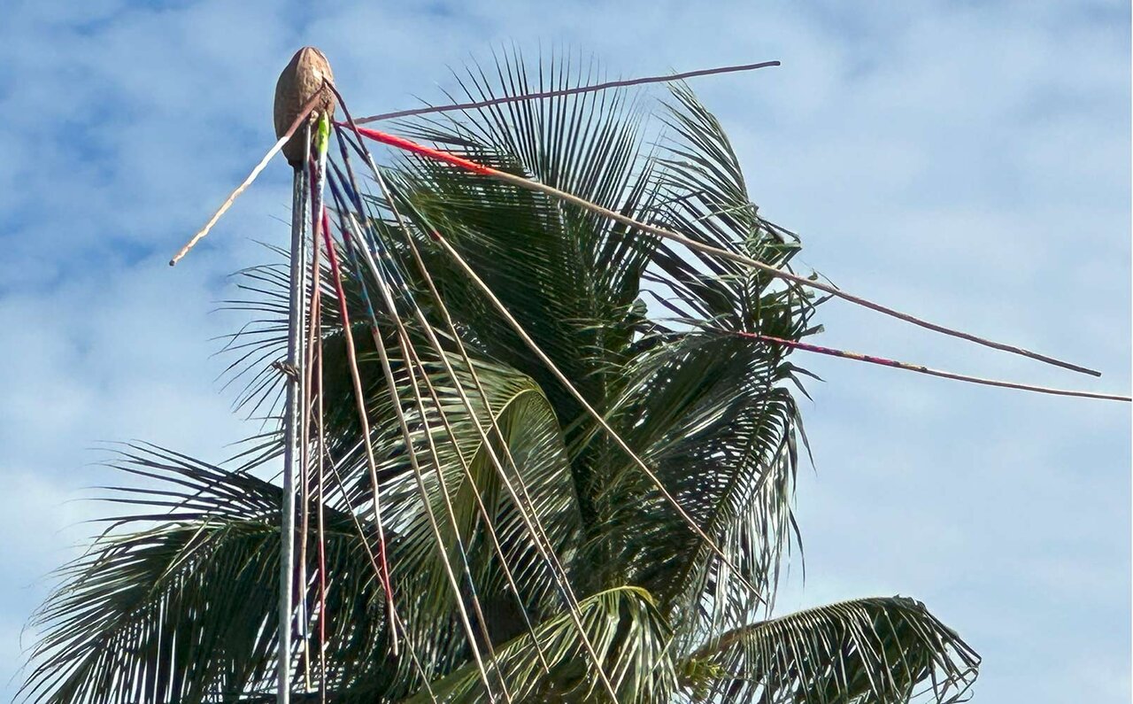 短期連載３　タヒチ最大の祭典「ヘイヴァ」で、とことんポリネシア文化に浸る！