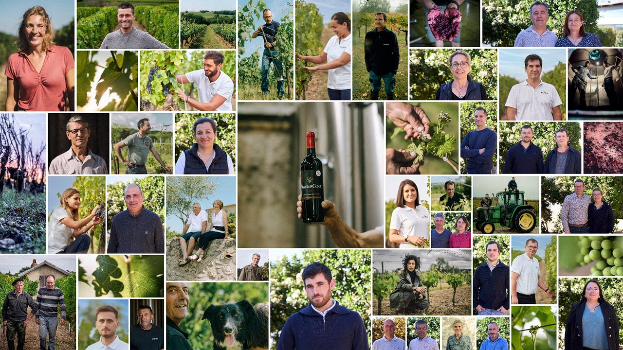 手の届く本物。ムートン・カデが表現するボルドーワインの伝統と革新