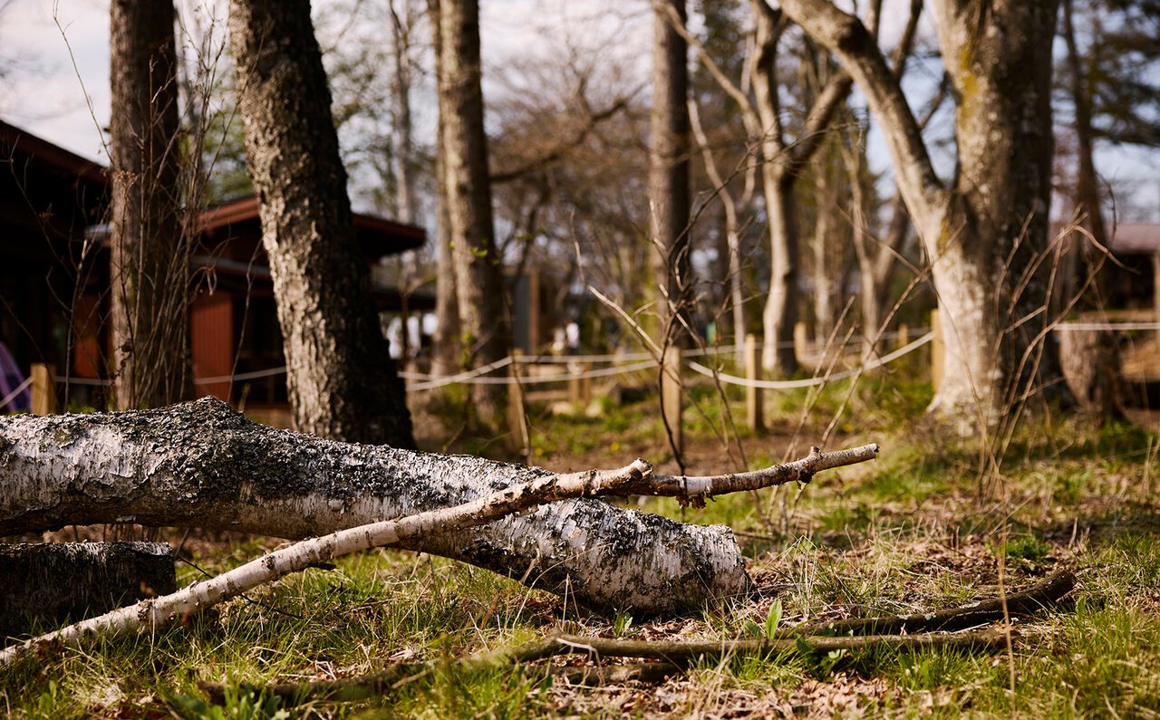 緑の中で見つける香りの記憶。 Le Labo on  Wheelsが軽井沢に停車中