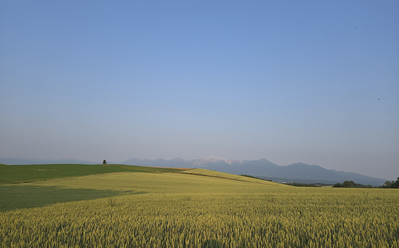 ノゾホテルから見る、富良野の強さと豊かさ