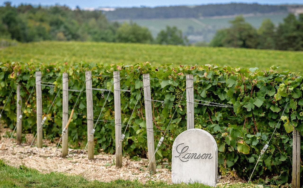 Lanson｜ランソン