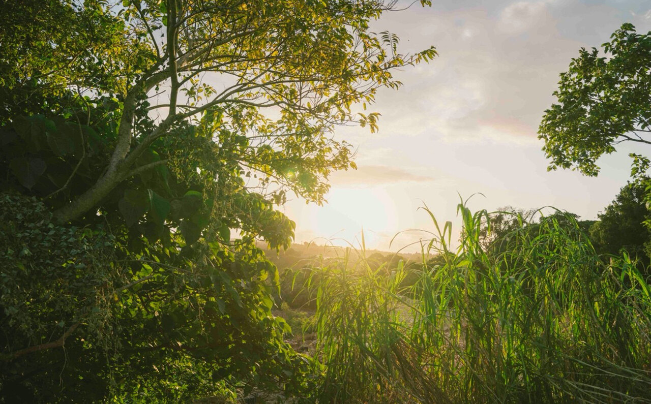 映画『風のマジム』主題歌を担当した森山直太朗が感じたこの映画の波長と旋律と第六感とは