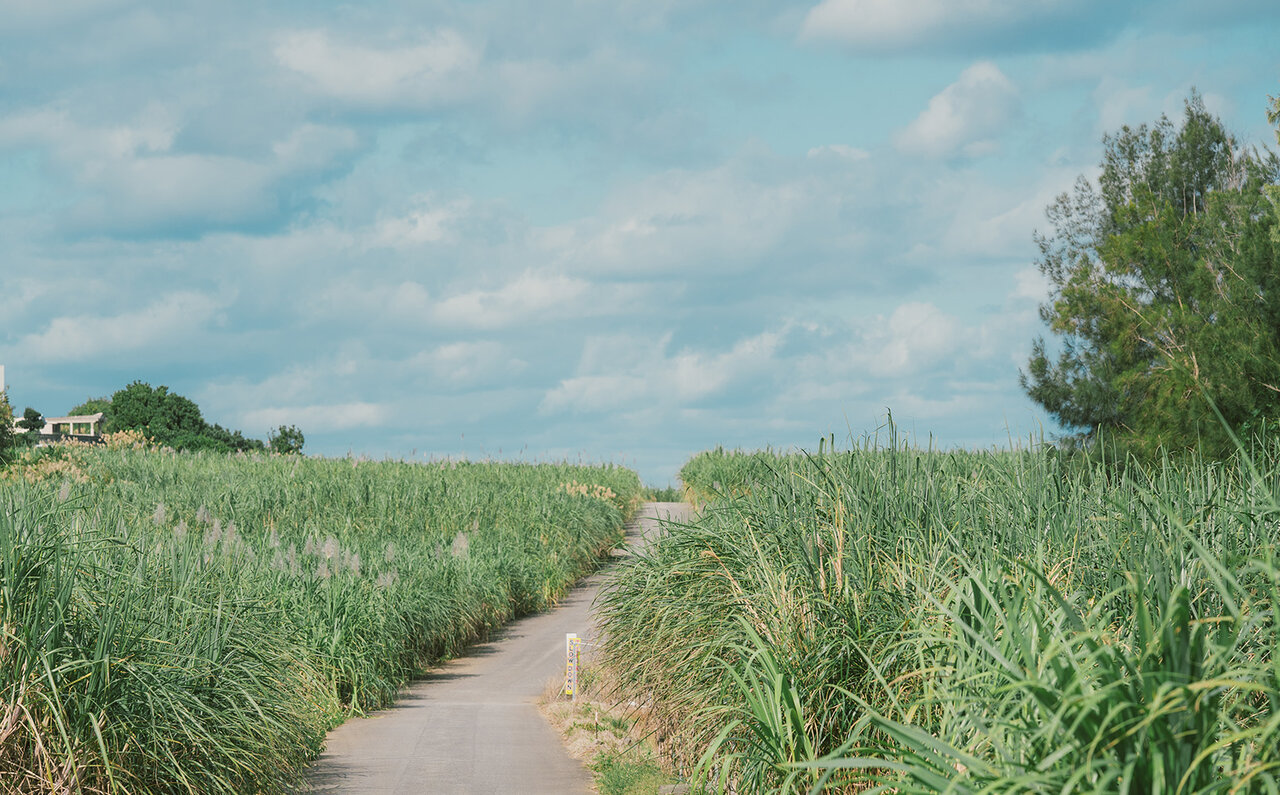 「伊藤沙莉主演映画「風のマジム」監督・芳賀薫×プロデューサー・佐藤幹也 ２０年ぶりに交差した二人の人生と作品の化学反応とは」
