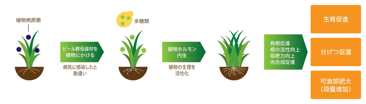 LOUNGE FEATURES｜Asahi Biocycle
