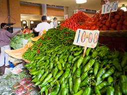 モーリシャス 06