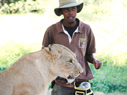 モーリシャス 14