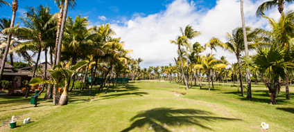 モーリシャス 79