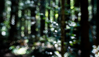 飯田信雄|FOTON 04