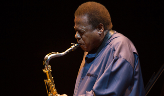 MUSIC｜『JAZZ WEEK TOKYO 2014』 04