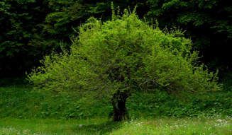 『連帯、そして再生――福島』 03