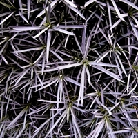 Patterns in Discontinuity 03