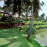 バリ島|アマンダリ 01