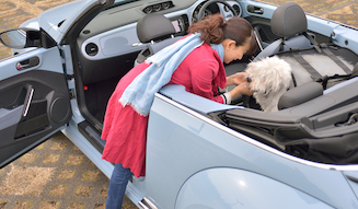 The Beetle Cabriolet meets FUJIWARA Michiko  03