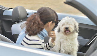 The Beetle Cabriolet meets FUJIWARA Michiko  05