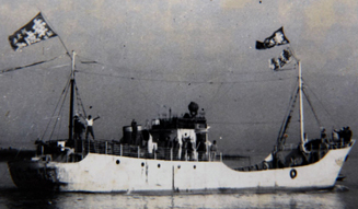 ~放射線を浴びた~X年後