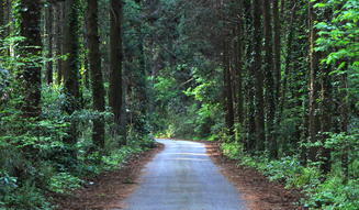 一番星ヴィレッジ 05