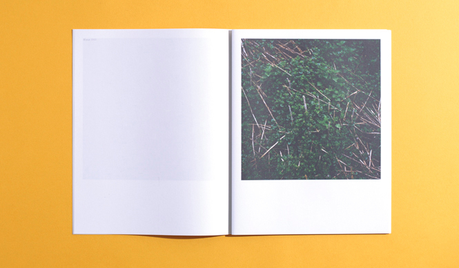 twelvebooks|Mar. 2014 『Wiese XXI - XLVIII』