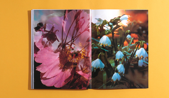 twelvebooks|Mar. 2014 『Peter Fischli & David Weiss』
