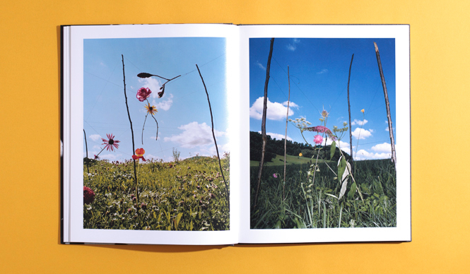 twelvebooks|Mar. 2014