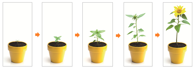 KING JIM|「レコロ」IR7 01