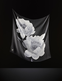 discord|ディスコード 03