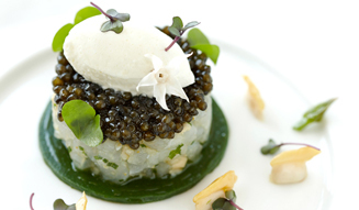 エクスペリエンス オブ ルイナール