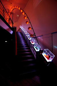 NIKE|NIKE INNOVATION HOUSE 03