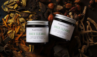 PLANTOLOGY｜石川雅子 02