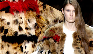 Statement Fur