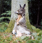 ART|「ジャック・ドゥミ 映画/音楽の魅惑」展 04