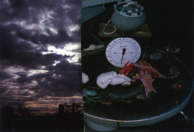 ART｜荒木経惟展「切真」　04