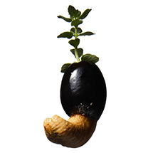 伊藤嶺花×諏訪綾子｜スピリチュアル対談（後編）　04