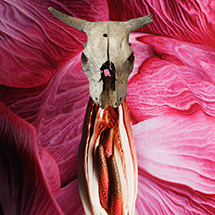 伊藤嶺花×諏訪綾子｜スピリチュアル対談（後編）　22