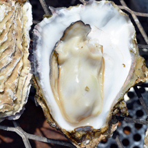 気仙沼便り|10月「民宿つなかんとの出合い」 04