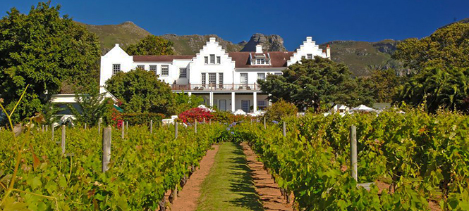 The Cellars Hohenort