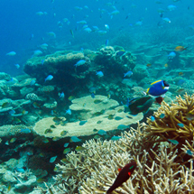 Maldives｜モルディブ　23