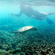 Maldives｜モルディブ　26