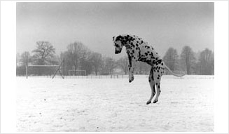 AXIS|AXIS PHOTO MARCHE 02