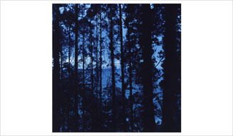 AXIS|AXIS PHOTO MARCHE 03